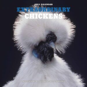 Extraordinary Chickens Calendar 2025