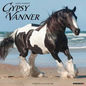 Gypsy Vanner Horse Calendar 2025