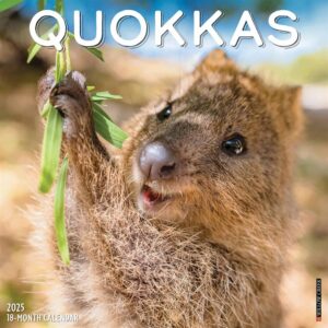 Quokkas Calendar 2025