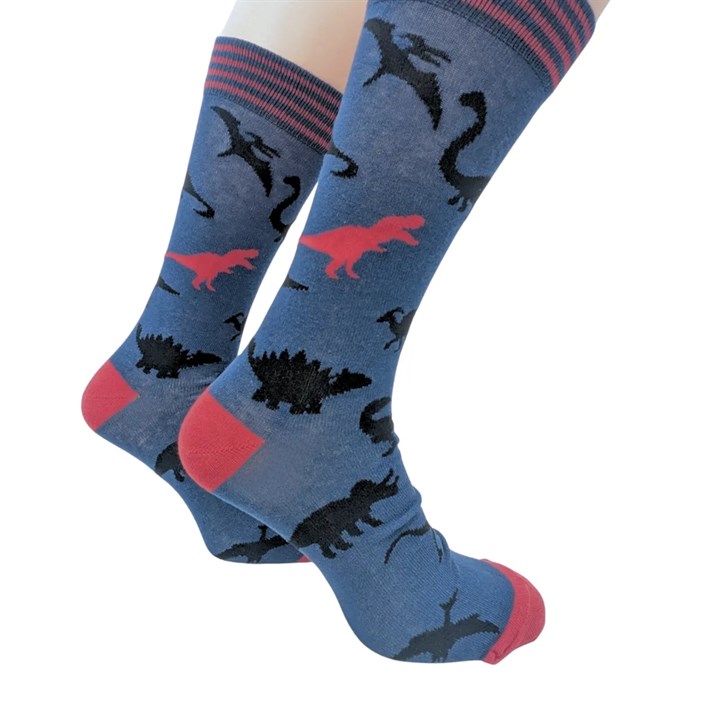 Dinosaur Socks – Size 7 – 11