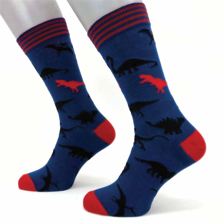 Dinosaur Socks – Size 7 – 11