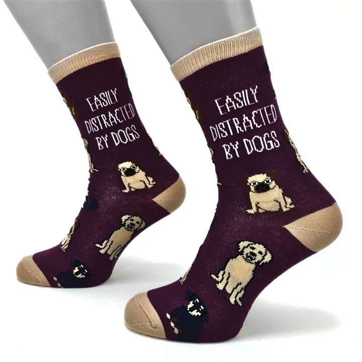 Easily Distracted By Dogs Socks – Size 4 – 8