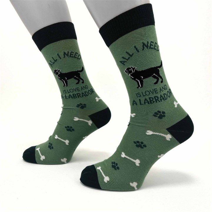 All I Need is Love and a Labrador Socks – Size 7 – 11