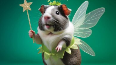 Guinea Pigs Rule Calendar 2027
