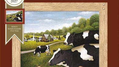 Cows