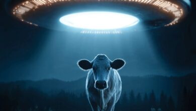 Cow Abductions Calendar 2027