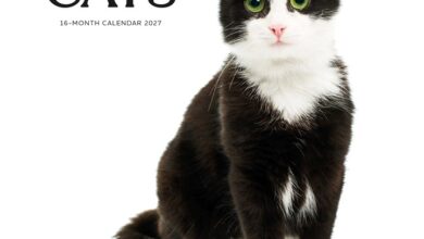 Tuxedo Cats Calendar 2027
