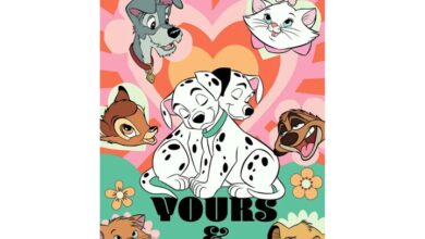 Disney Yours & Mine Deluxe Calendar 2027