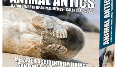 Animal Antics Desk Calendar 2027