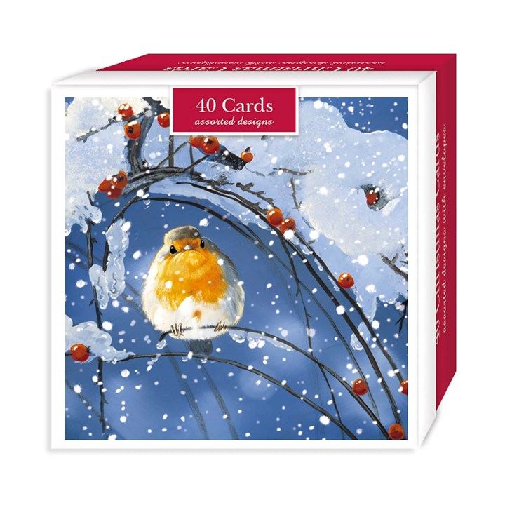 Winter Robins, 40 Christmas Cards