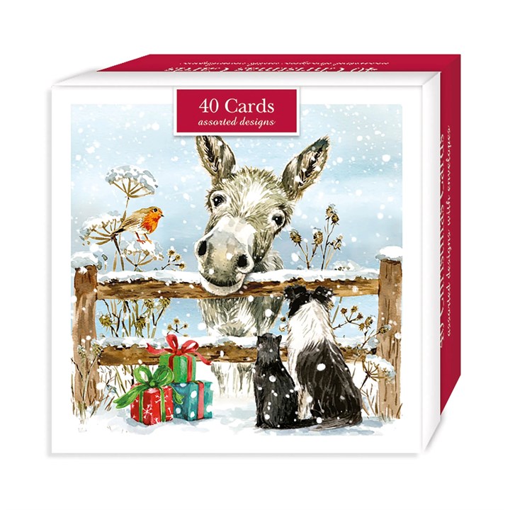 Donkey & Friends, 40 Christmas Cards