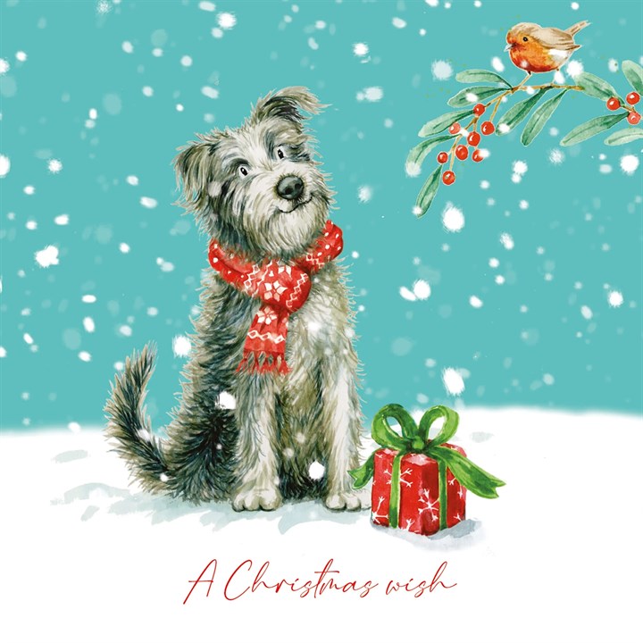 Scruffy Pup, 10 Christmas Cards
