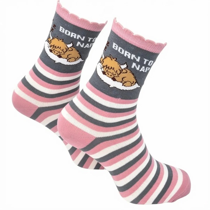 Born to Nap Socks – Size 4 – 8